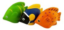 Stress Tropical Fish