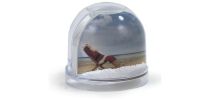 Snow Globe MX