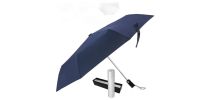 The Kingston Umbrella
