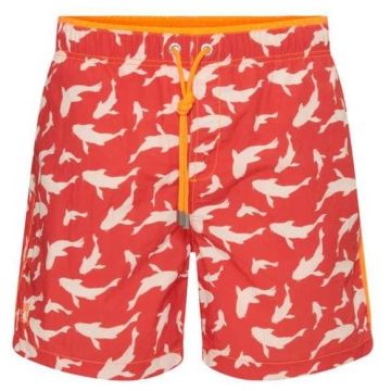 Belize Koi Swim Shorts
