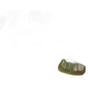 Gummi Bears