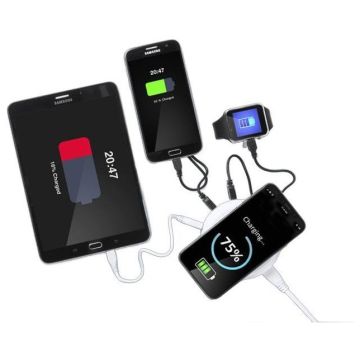 Charger Mandux