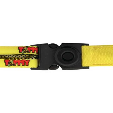 Light Up Dog Collar