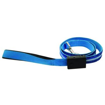 Light Up Dog Leash