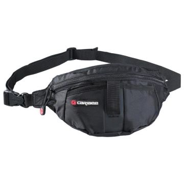 Moonlite Waist Bag