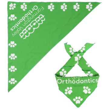 Triangle Pet Bandana