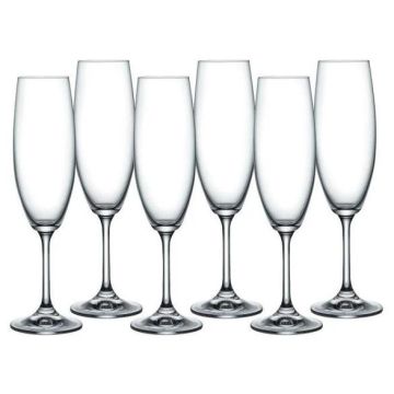 Lara Champagne Flute Set of 6