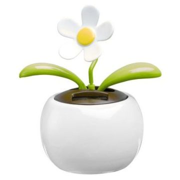 ABS and PP solar flower Annaliese