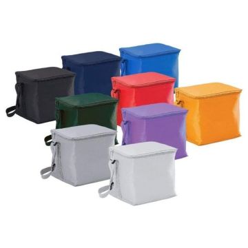 Small Cooler Bag