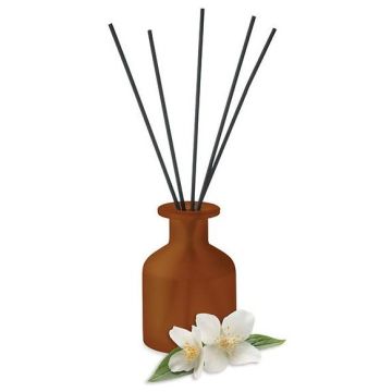 Home Fragrance Reed Diffuser