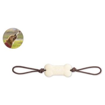 Dog Chew Toy in TPR material