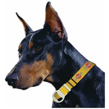 Manâ€™S Best Friend Dog Collar