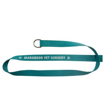 Heavy Duty Polyester Screen Printed Leash with D-Ring