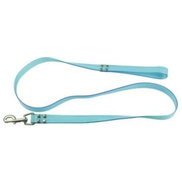 Heavy Duty PVC with Polyester Insert Leash