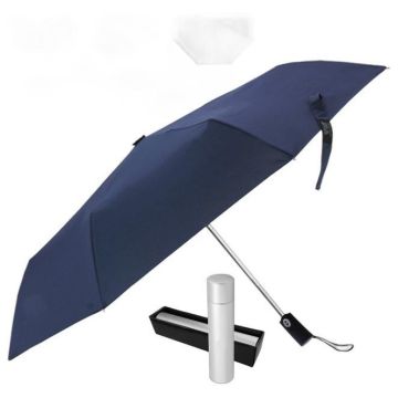 The Kingston Umbrella