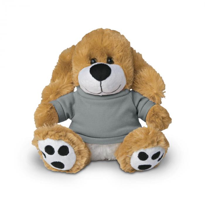 Small Big Paw Dog