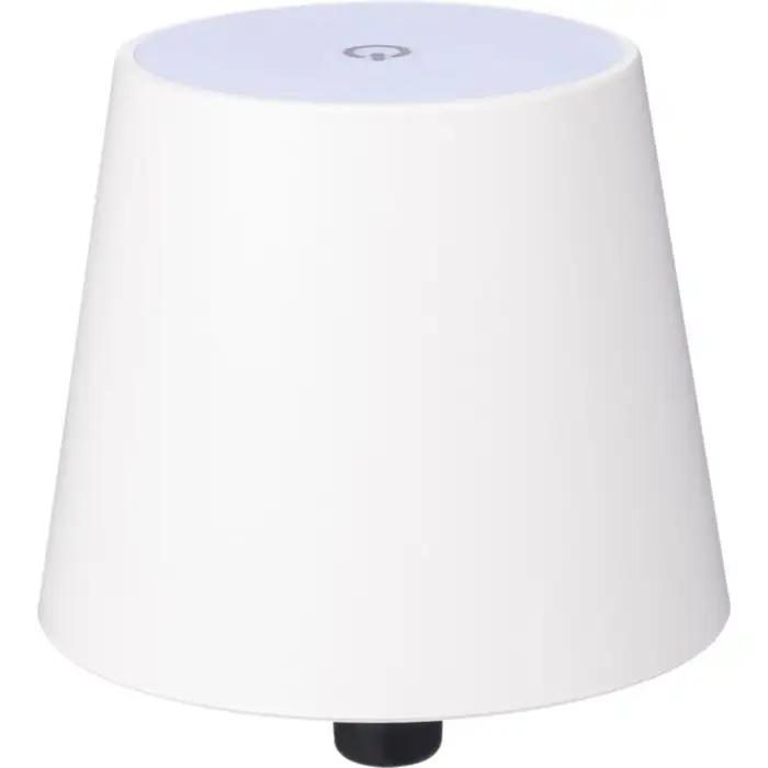 ABS light Caius