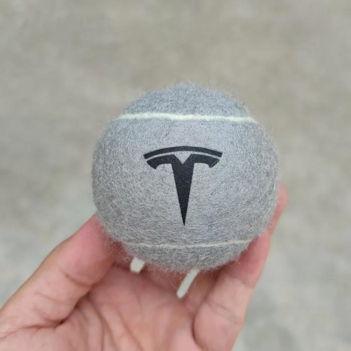 Dog Fetch Ball