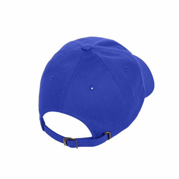 Flexfit Low Profile Cap