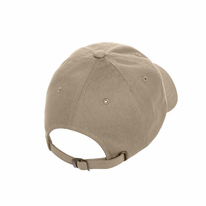 Flexfit Low Profile Cap