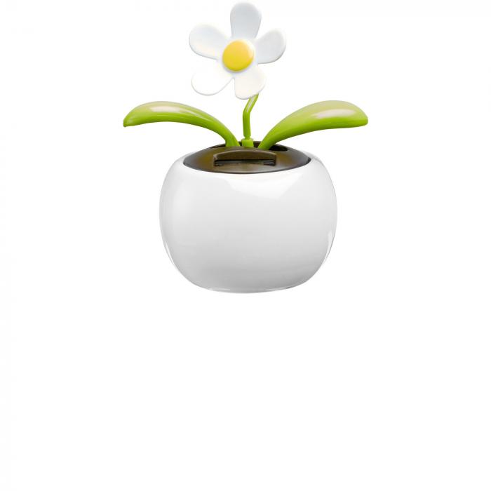 ABS and PP solar flower Annaliese