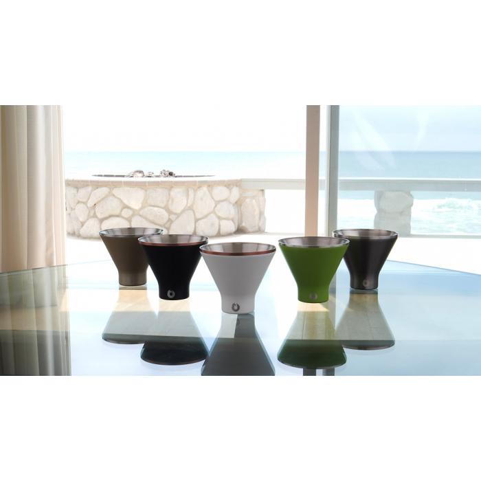 Snowfox - Stainless Steel Martini Glasses - Set of 2