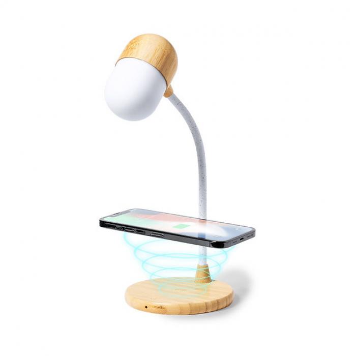 Limited Edition Multifunction Lamp