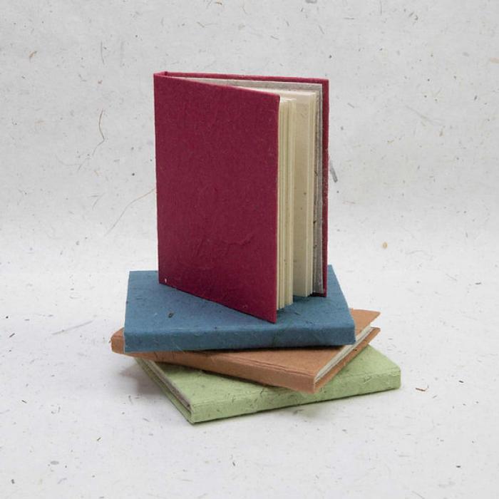 100% Real Poo - Mini Journals