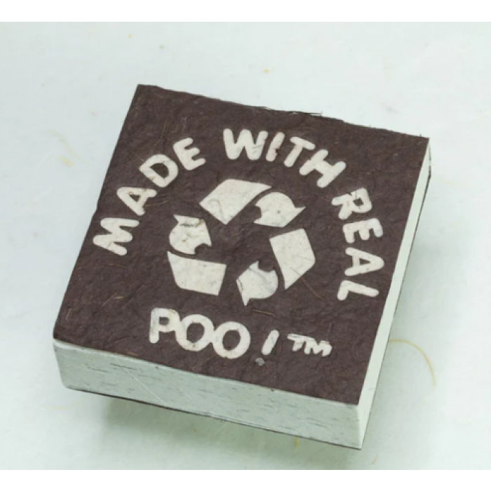 100% Real Poo - Scratch Pad