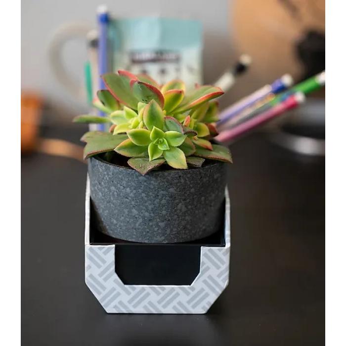 Boomz Speaker