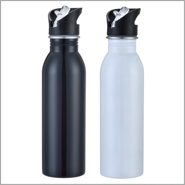 Stainless Steel Drink Bottle with Straw