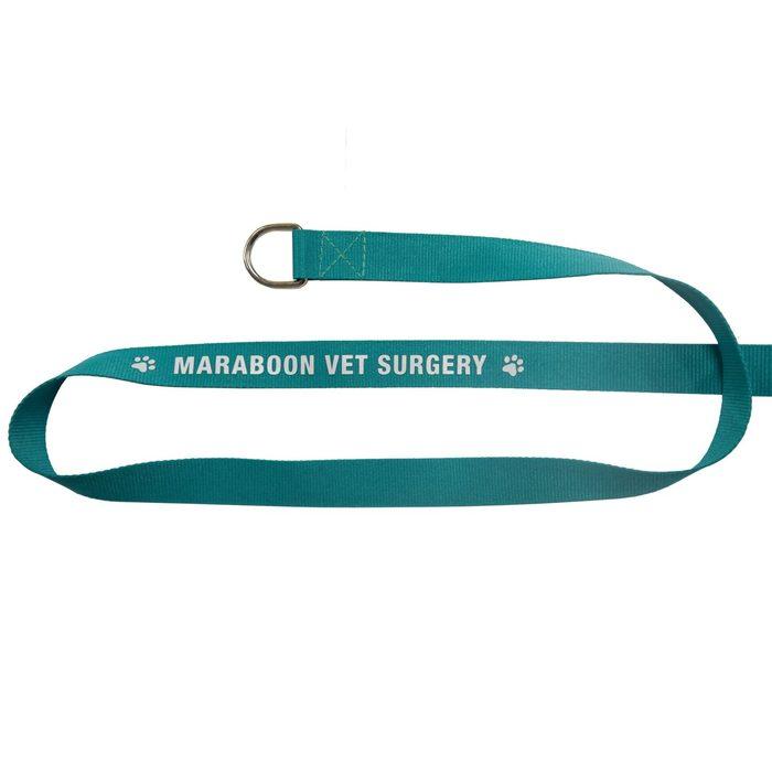 Heavy Duty Polyester Screen Printed Leash with D-Ring