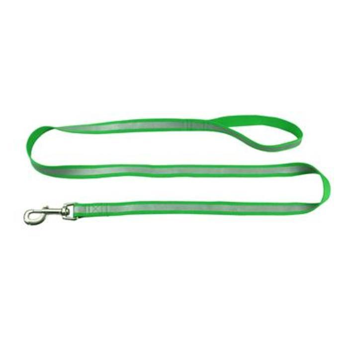 Heavy Duty Reflective Polyester Screen Printed Leash with Swivel Clip