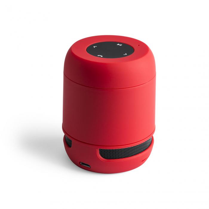 Speaker Braiss