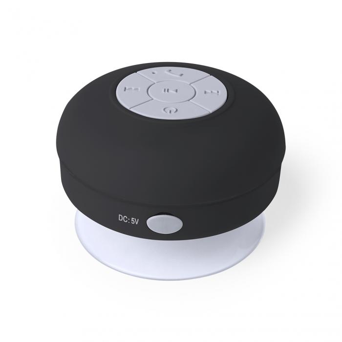 Speaker Rariax