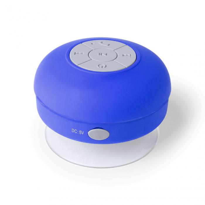 Speaker Rariax