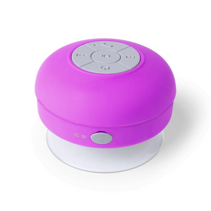 Speaker Rariax