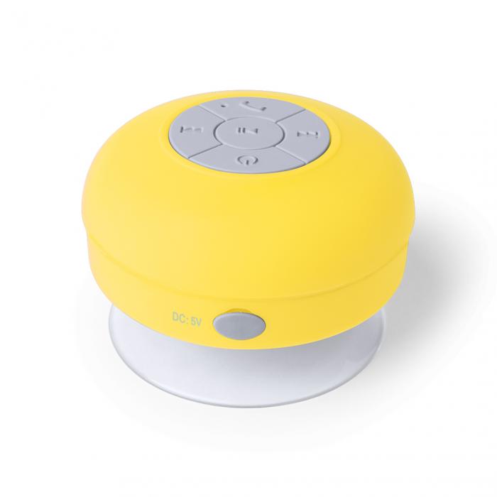 Speaker Rariax