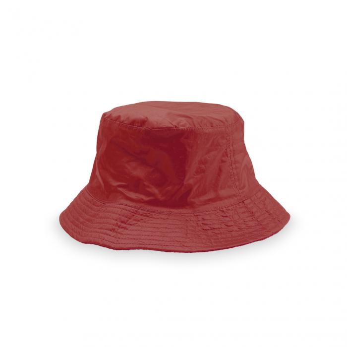 Reversible Hat Nesy