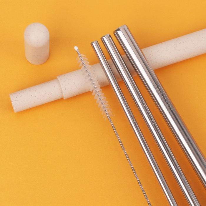 ECO Straw Set