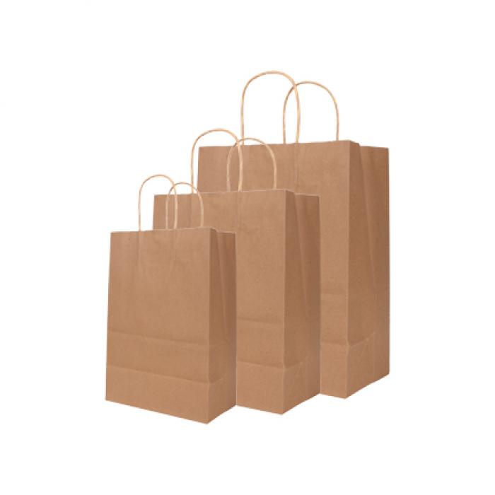 Twisted Handle Kraft Paper Bag(220x280x110mm)