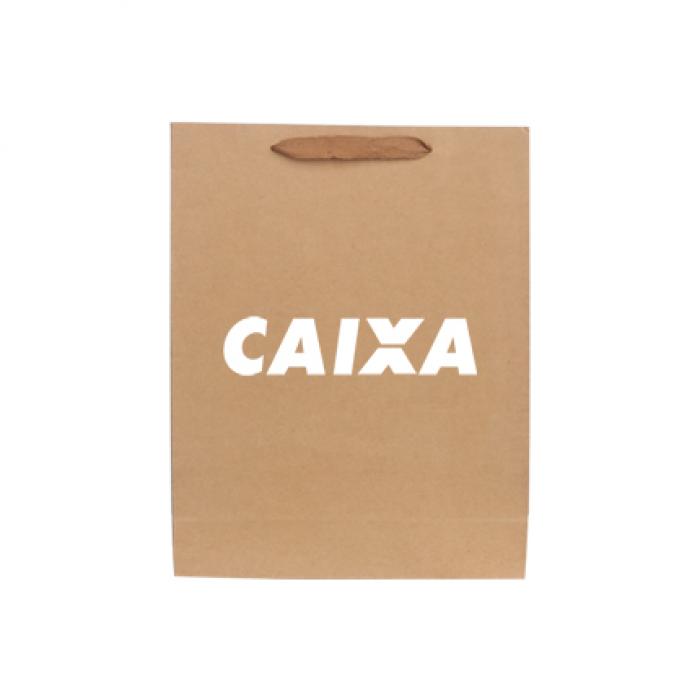 Medium Vertical Paper Bag With Fabric Flat Handle(210 x 270 x 110mm)