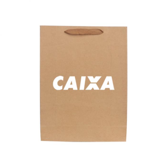Large Vertical Paper Bag With Fabric Flat Handle(300 x 400 x 110mm)