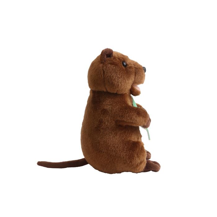 Custom Quokka Plush Toy