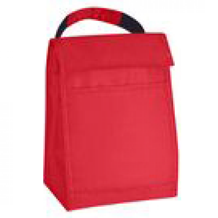 Budget Cooler Bag With Grip