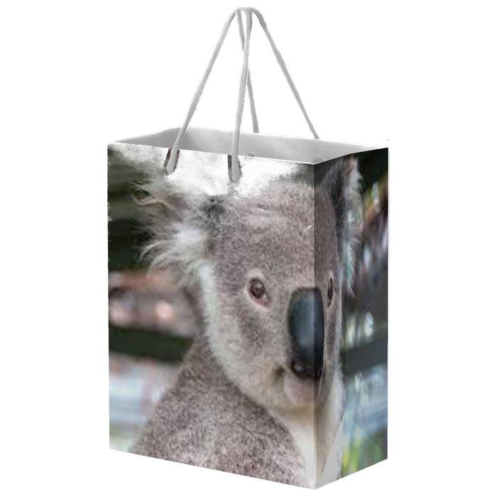 Full Colour Gloss Laminated Bag Large With Rope Handle