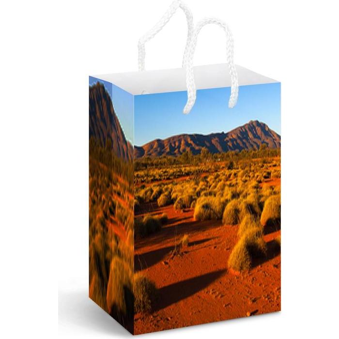 Full Colour Paper Bag Medium
