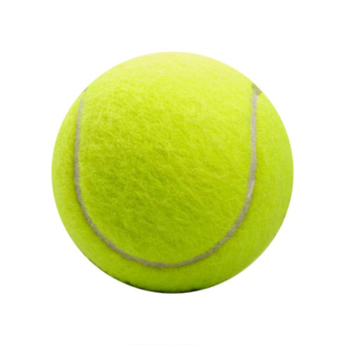 Dog Tennis