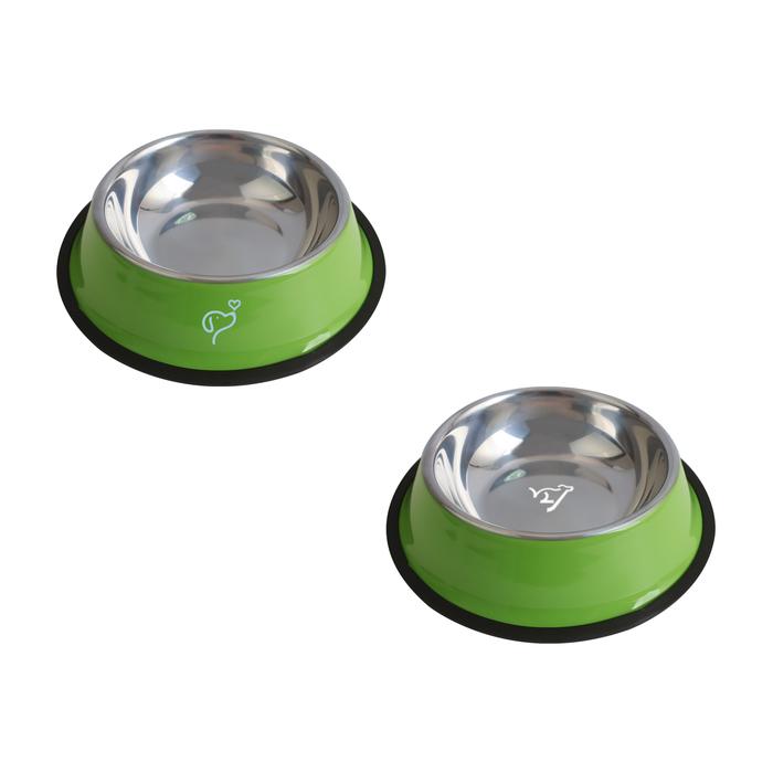 Pet Feeding Bowl
