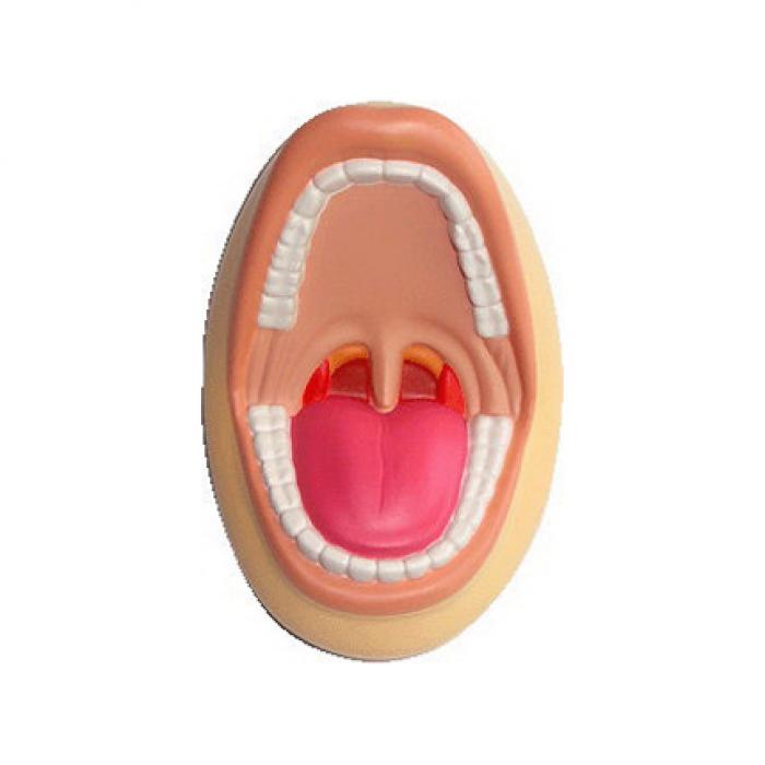Mouth Shape Stress Reliver